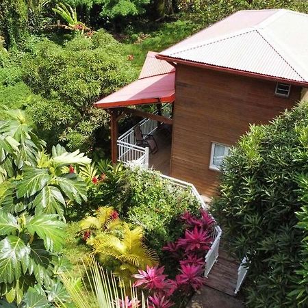 Mahogany Lodge - Oasis Cosy Rivière-Pilote Exterior foto