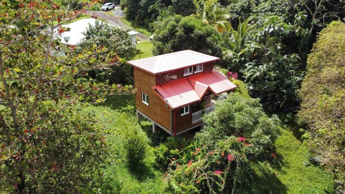 Mahogany Lodge - Oasis Cosy Rivière-Pilote Exterior foto